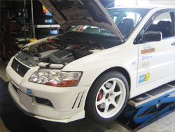 �I�C�������Ŗ{���̑��肪��݂�����I